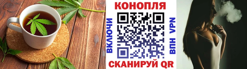 Cannafood конопля  Суджа 