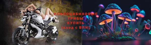 тгк Алексин