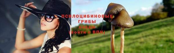 a pvp Армянск