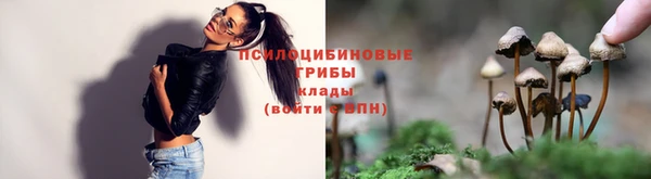 гашиш Арсеньев