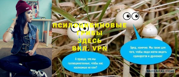 гашиш Арсеньев