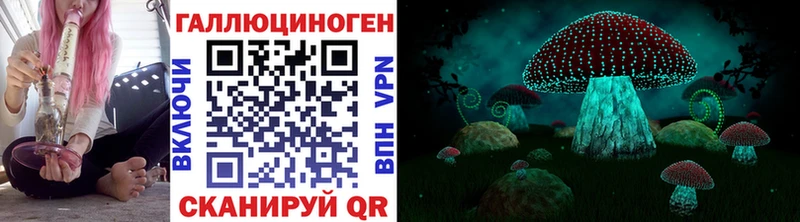 Галлюциногенные грибы Psilocybe  где можно купить   гидра ССЫЛКА  Суджа 